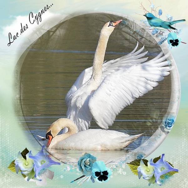 10151228_682173655176571_5726429882009936968_n