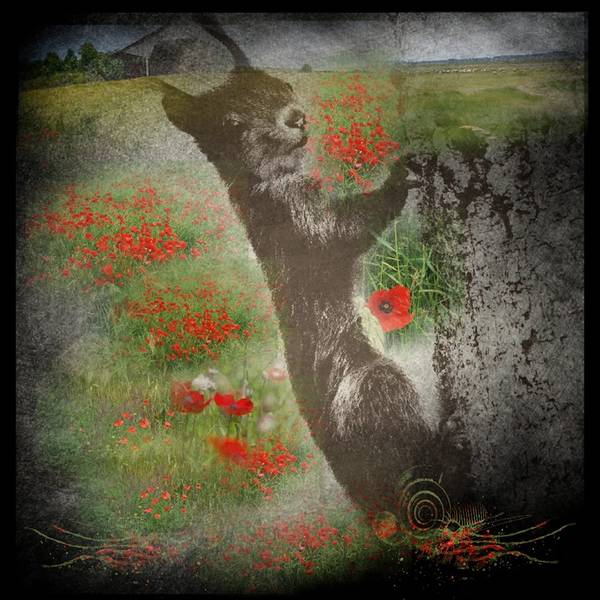 10154038_695503323843604_3414089713022181024_n