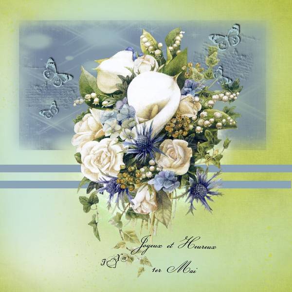 10172849_694544177272852_1588521214496756540_n