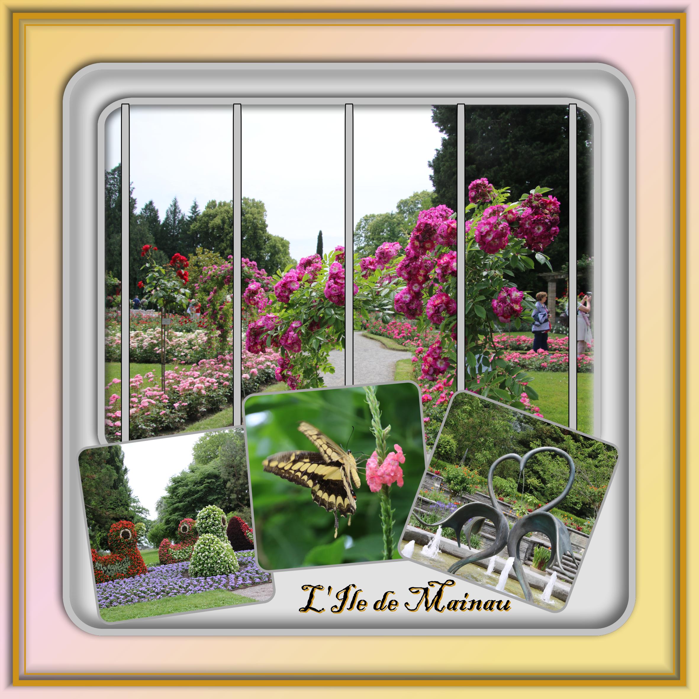 102 L'ile de Mainau.jpg