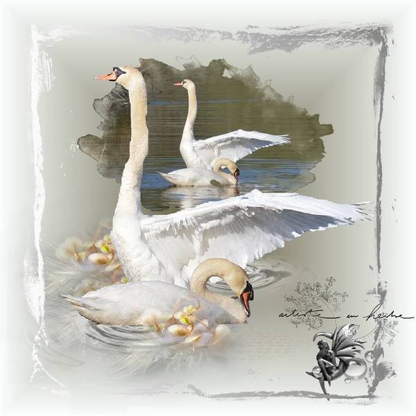 10269602_689071391153464_3347218293624617067_n