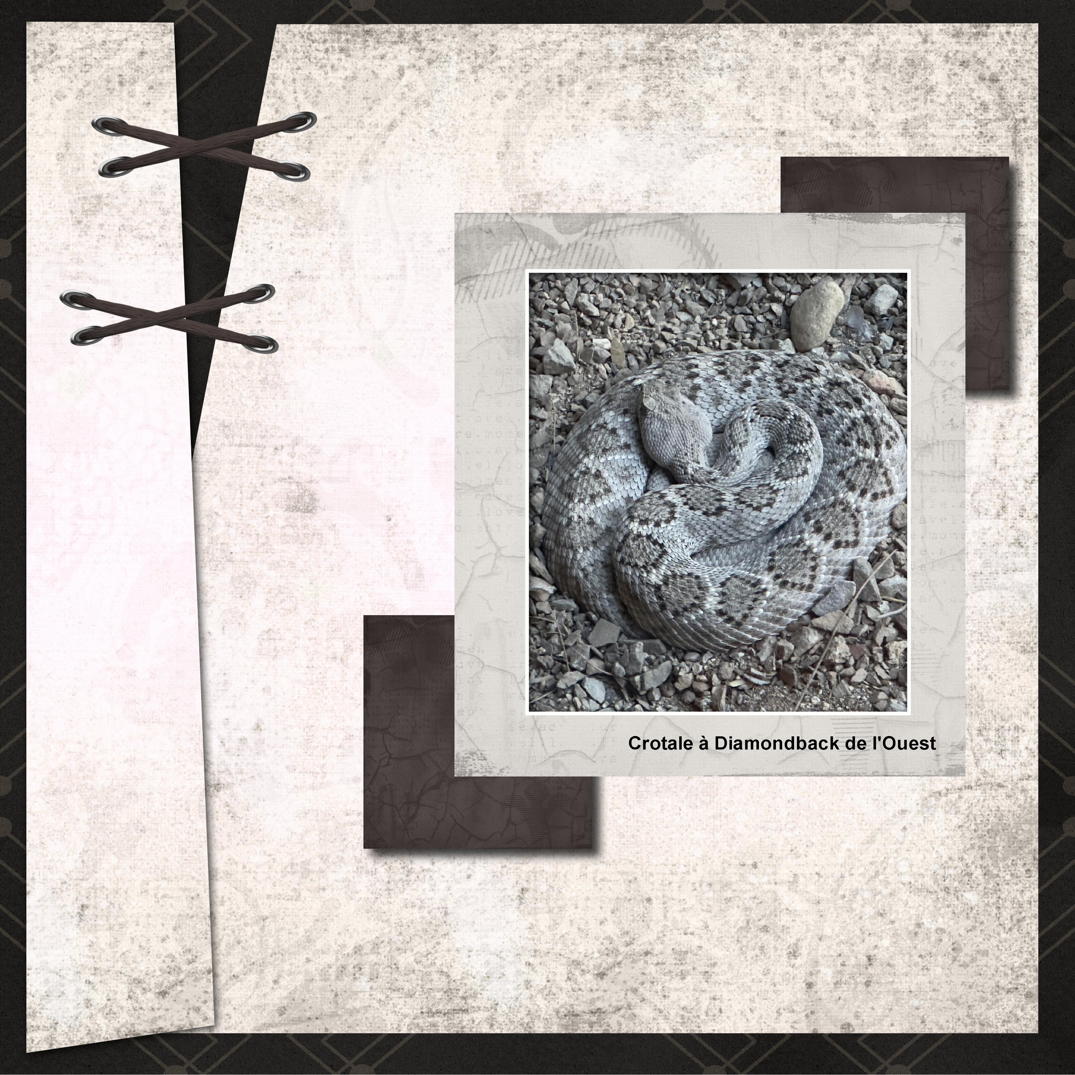 11 08 2024 (page 4).jpg