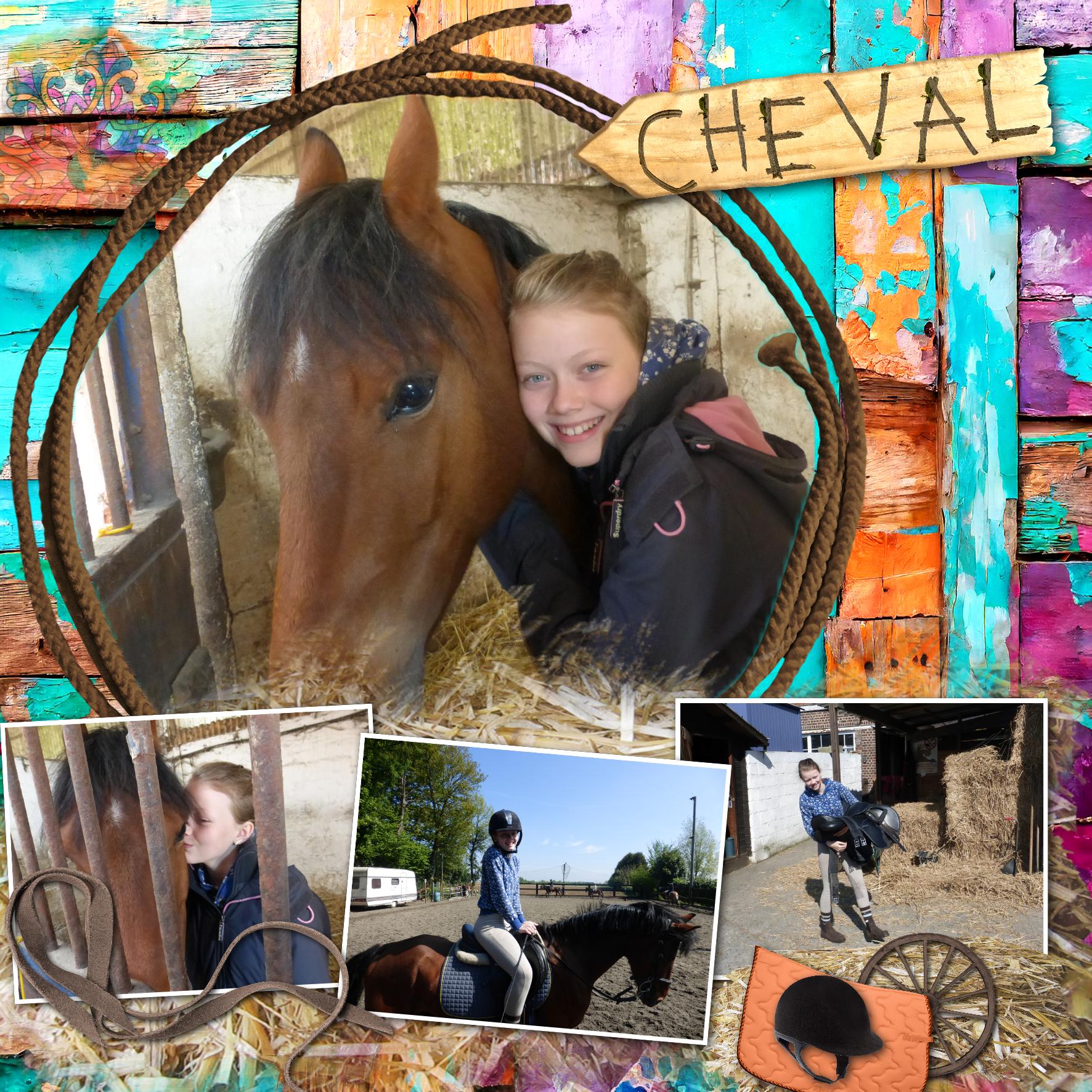 11 - Cheval.jpg