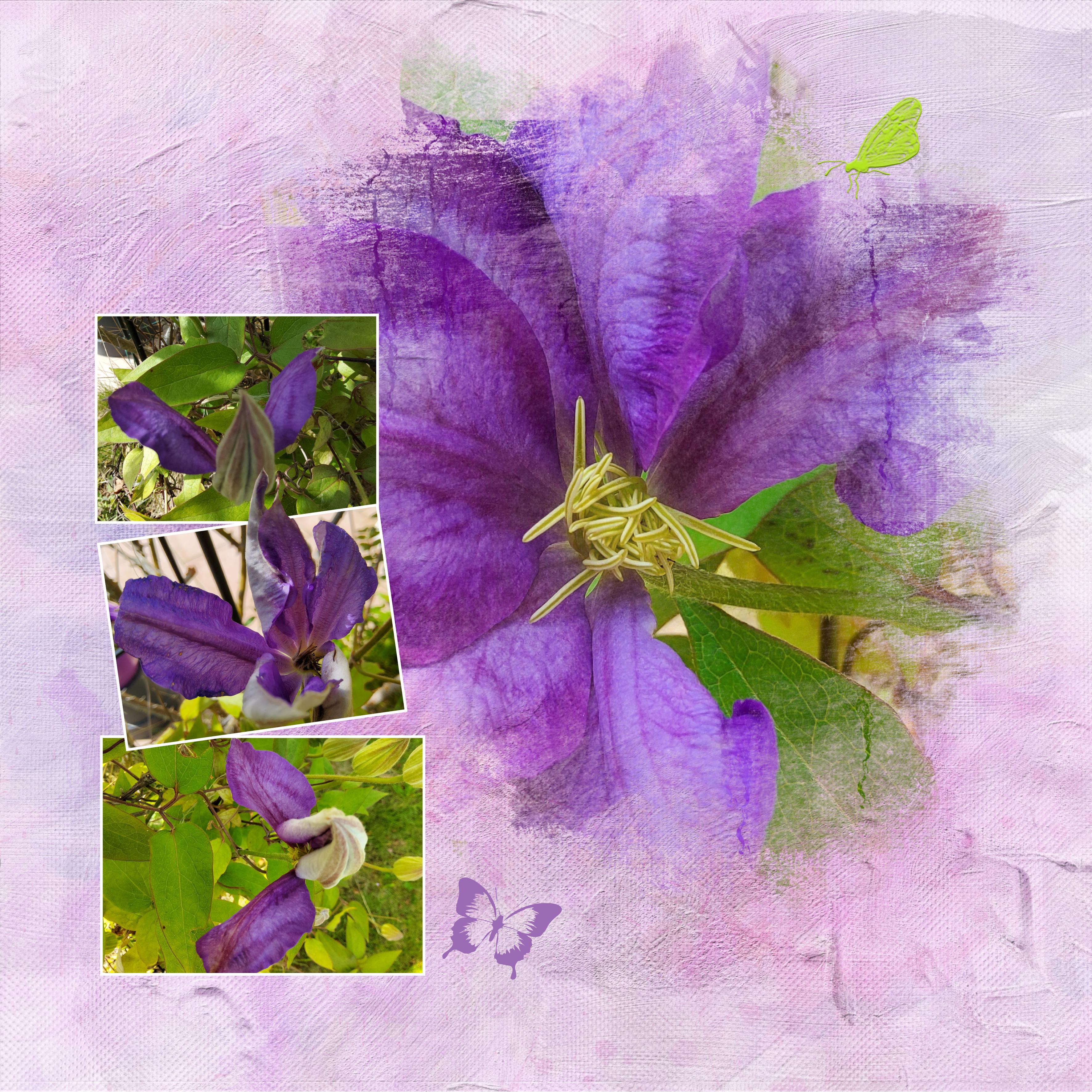 11 mai 2021 (page 3).jpg