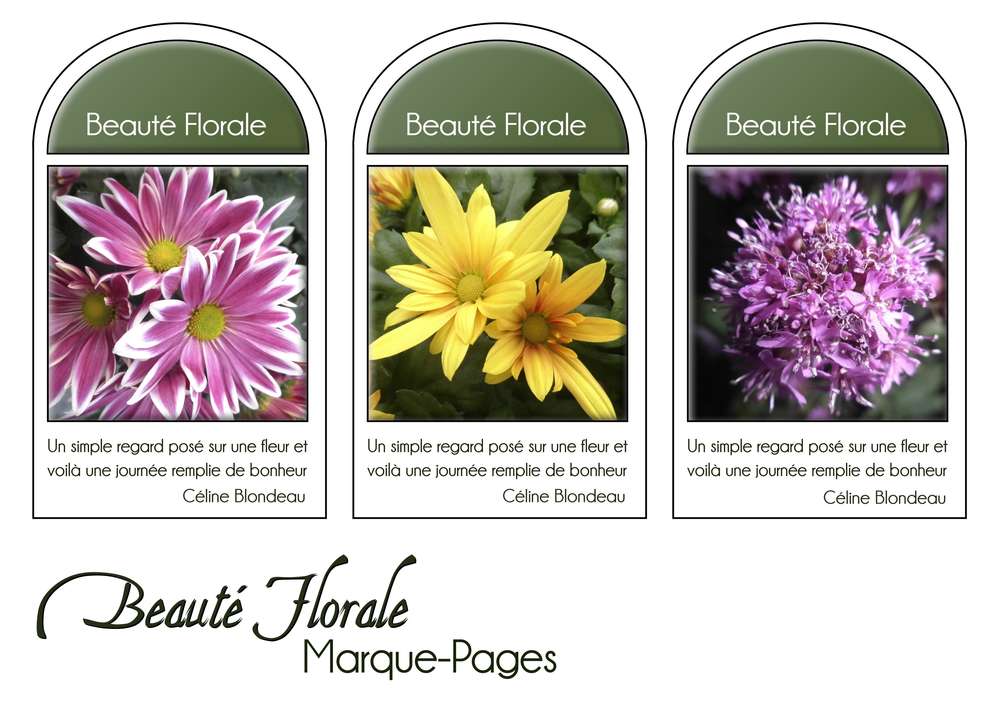 11-MARQUE-PAGES - BEAUTE FLORALE