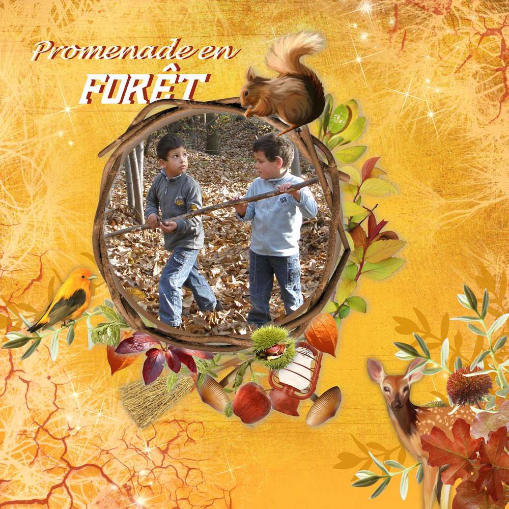 11_Promenade_en_for__t