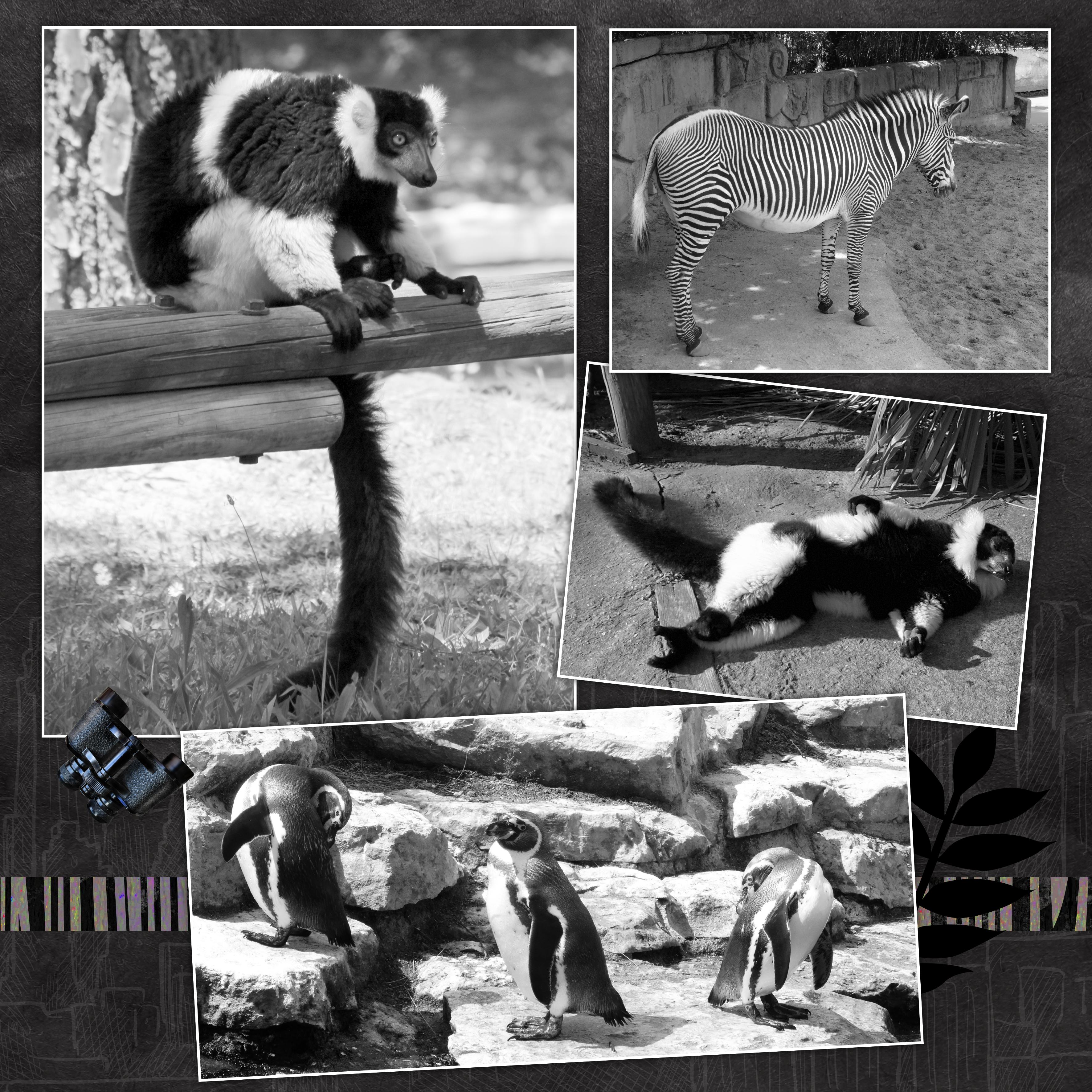 12 10 2021 Noir et Blanc (page 1).jpg