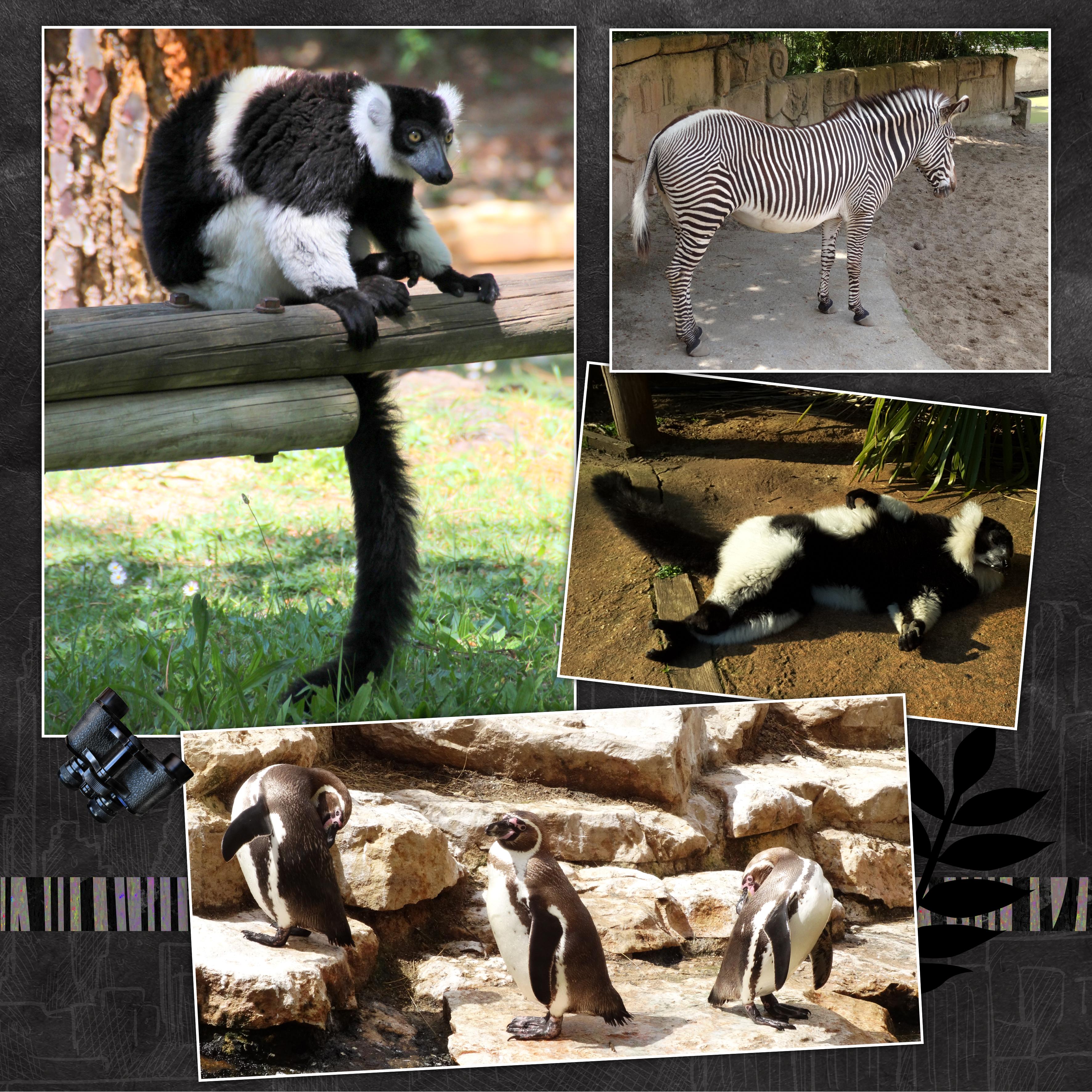 12 10 2021 Noir et Blanc (page 2).jpg