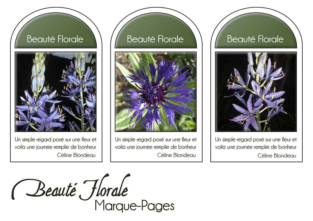 12-MARQUE-PAGES - BEAUTE FLORALE