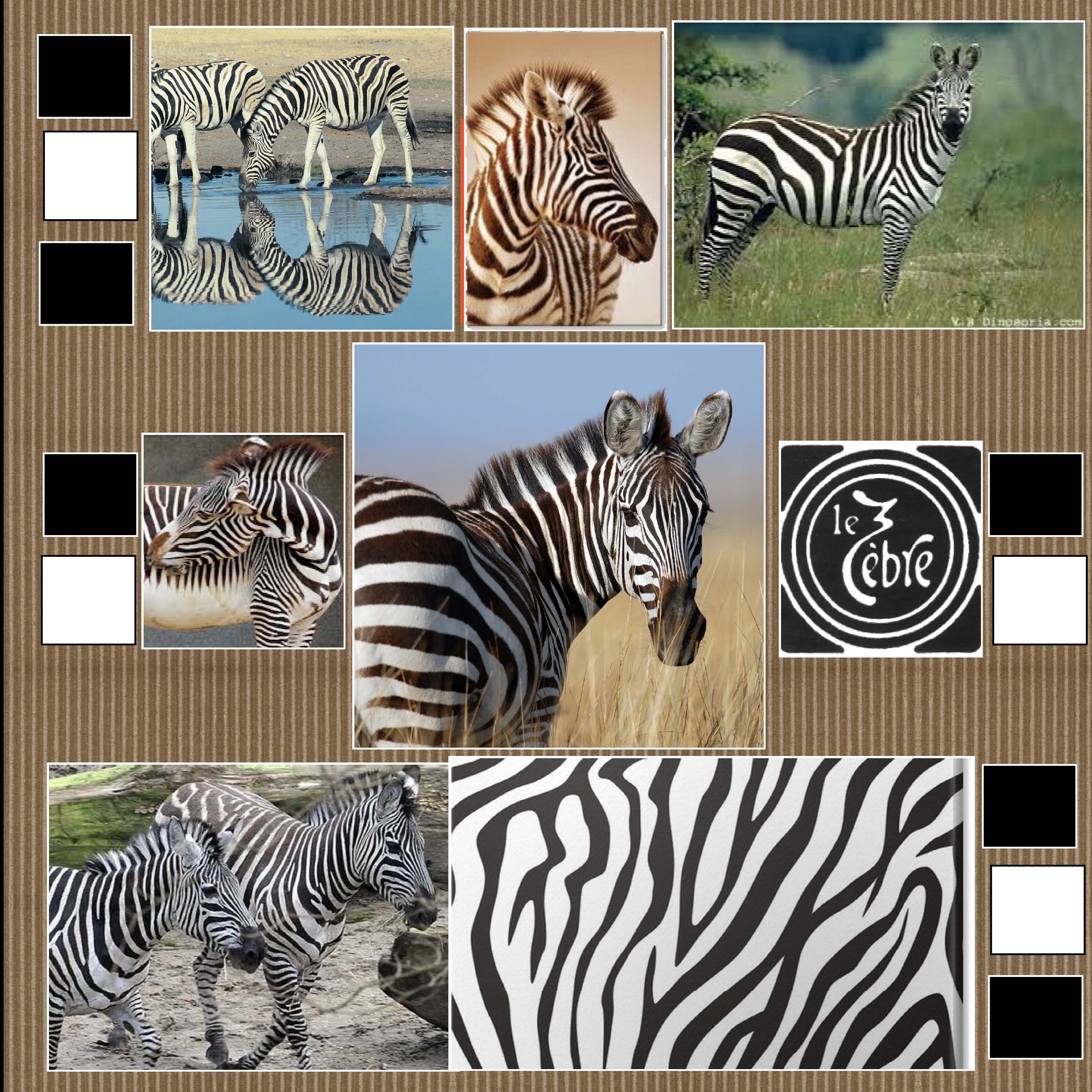 12 octobre noir et blanc r.jpg