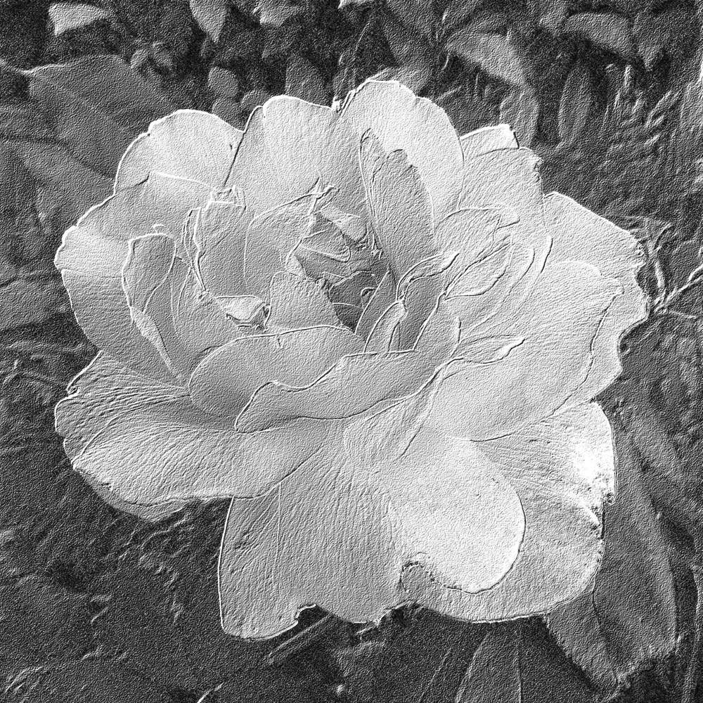 127- EN NOIR ET BLANC