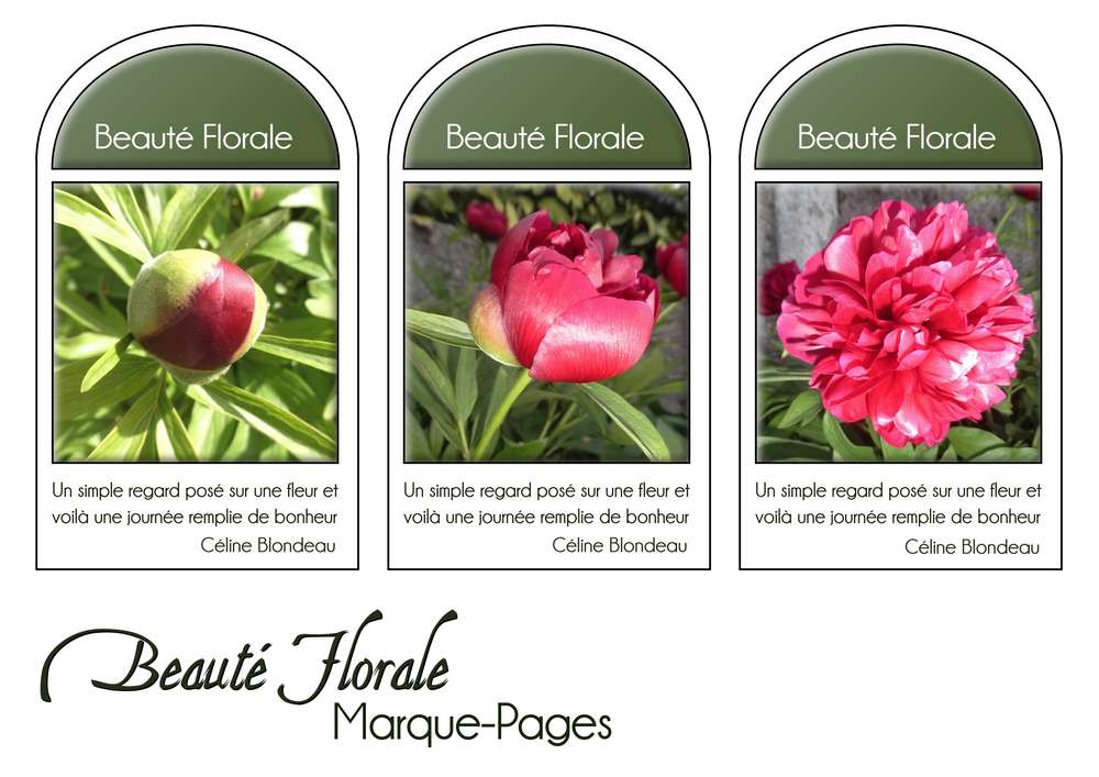 13-MARQUE-PAGES - BEAUTE FLORALE