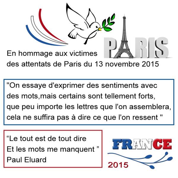 13 NOVEMBRE 2015-EN HOMMAGE AUX VICTIMES