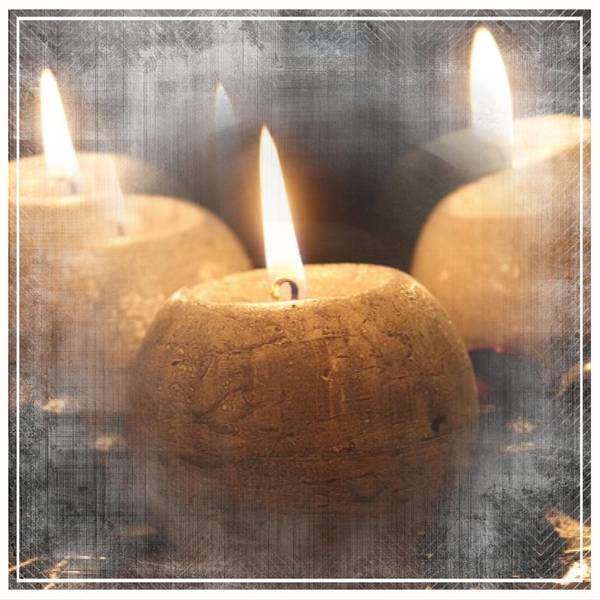 13 NOVEMBRE 2015-HOMMAGE