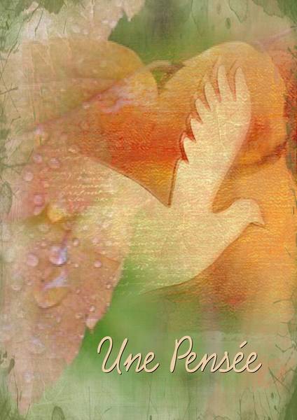 13 NOVEMBRE 2015-UNE PENSEE