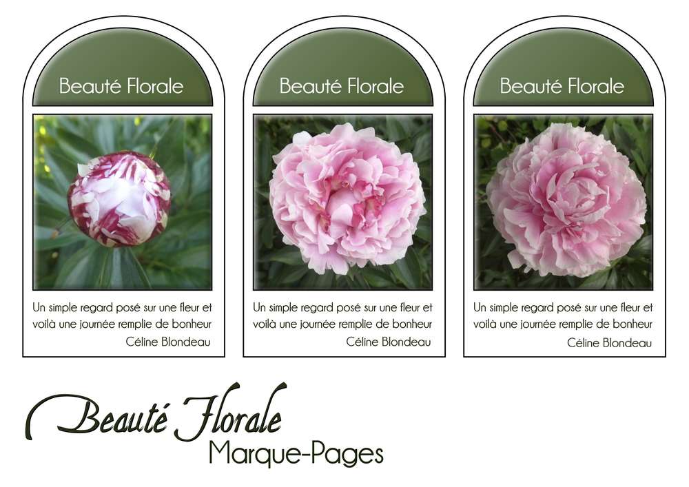 14-MARQUE-PAGES - BEAUTE FLORALE