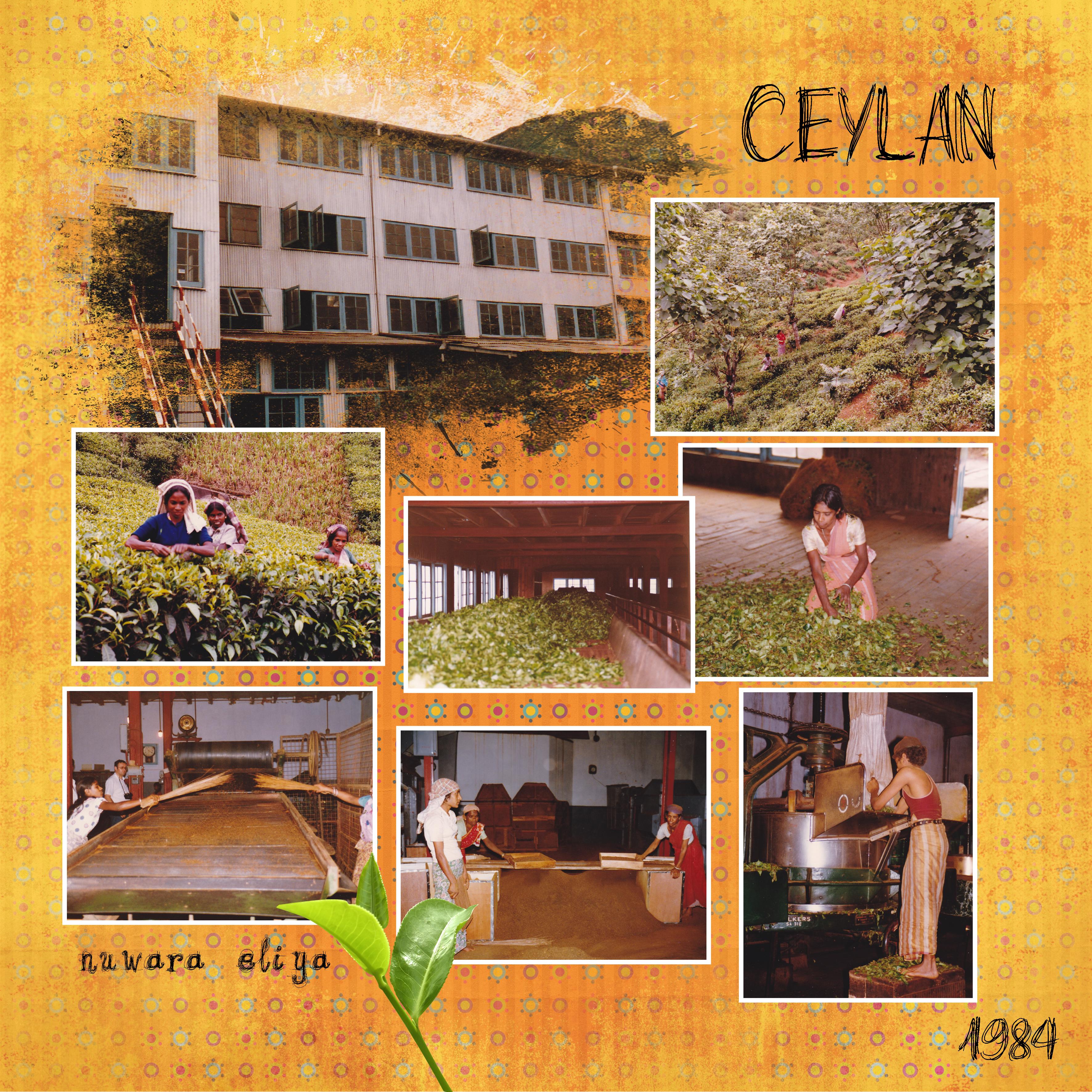 14 Thé (page 2).jpg