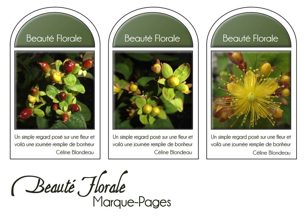 15-MARQUE-PAGES - BEAUTE FLORALE