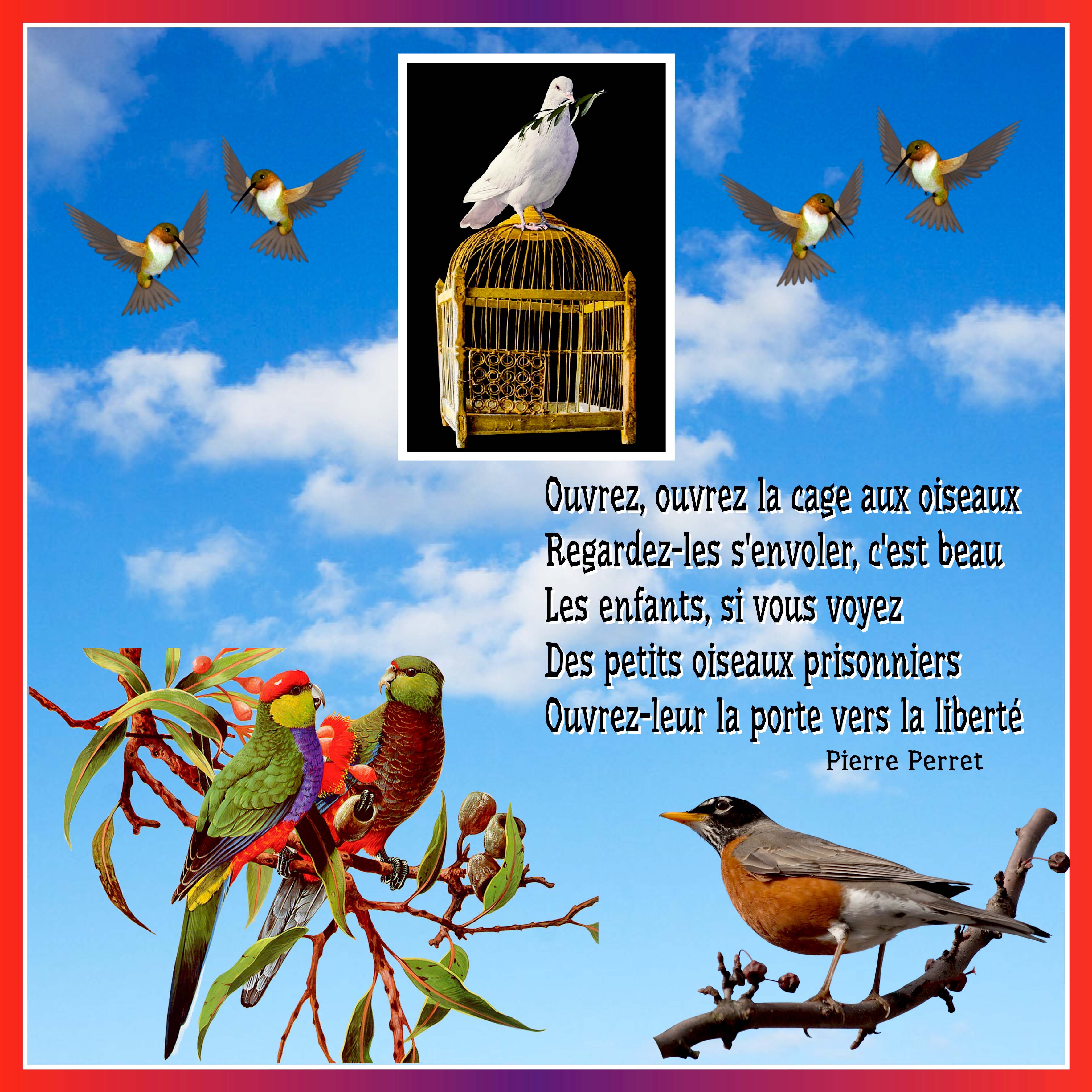 15 OISEAU.jpg