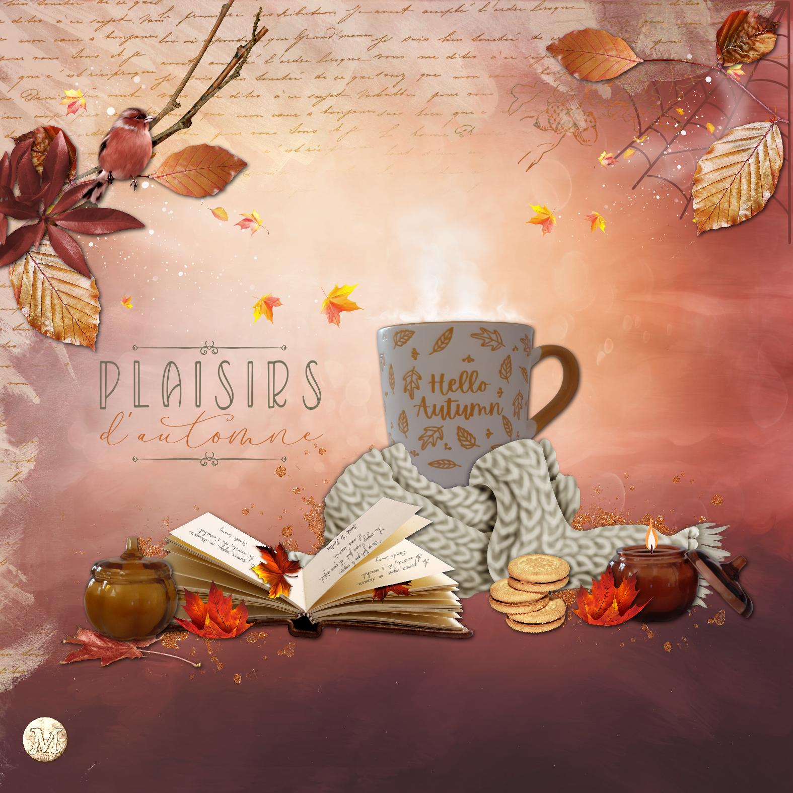 15 tasse / mug