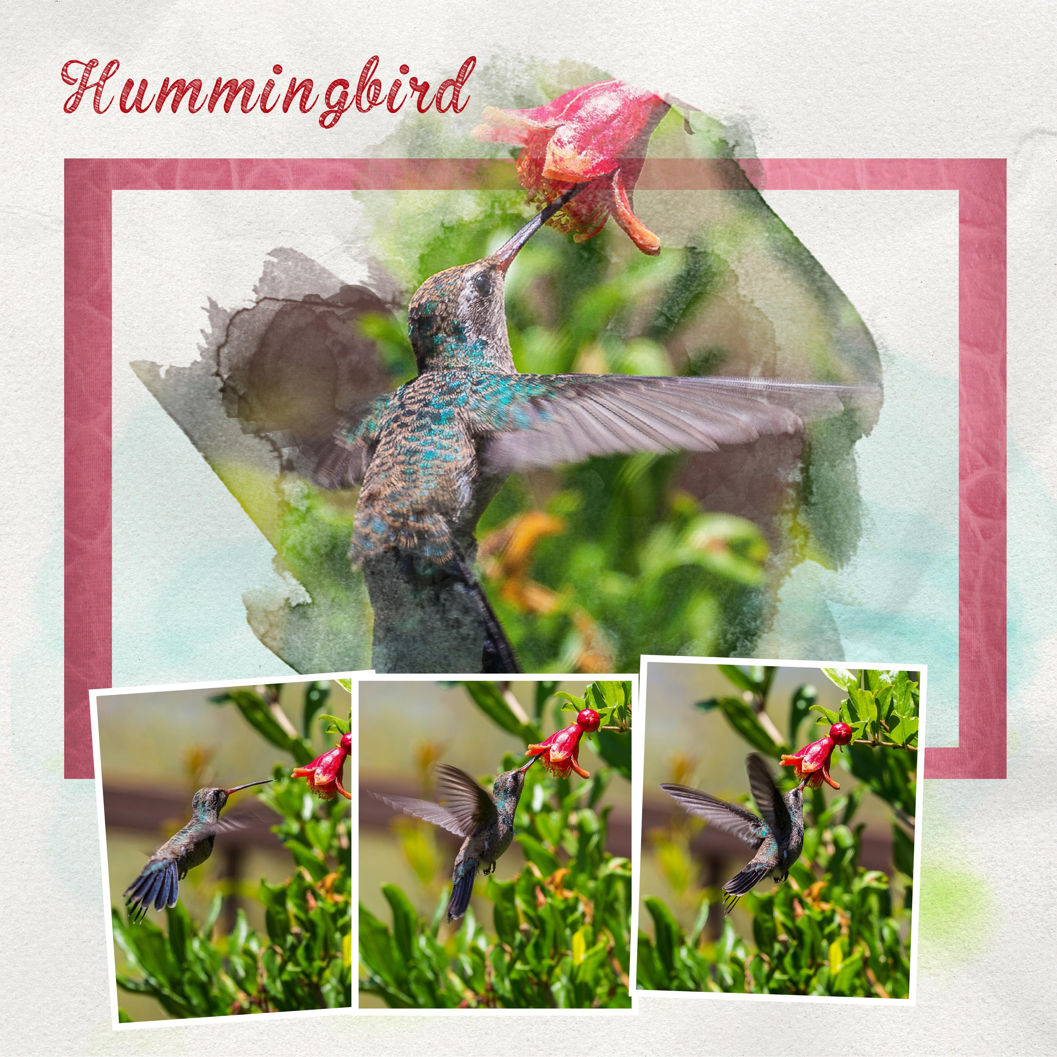 16 05 2023 (page 8).jpg