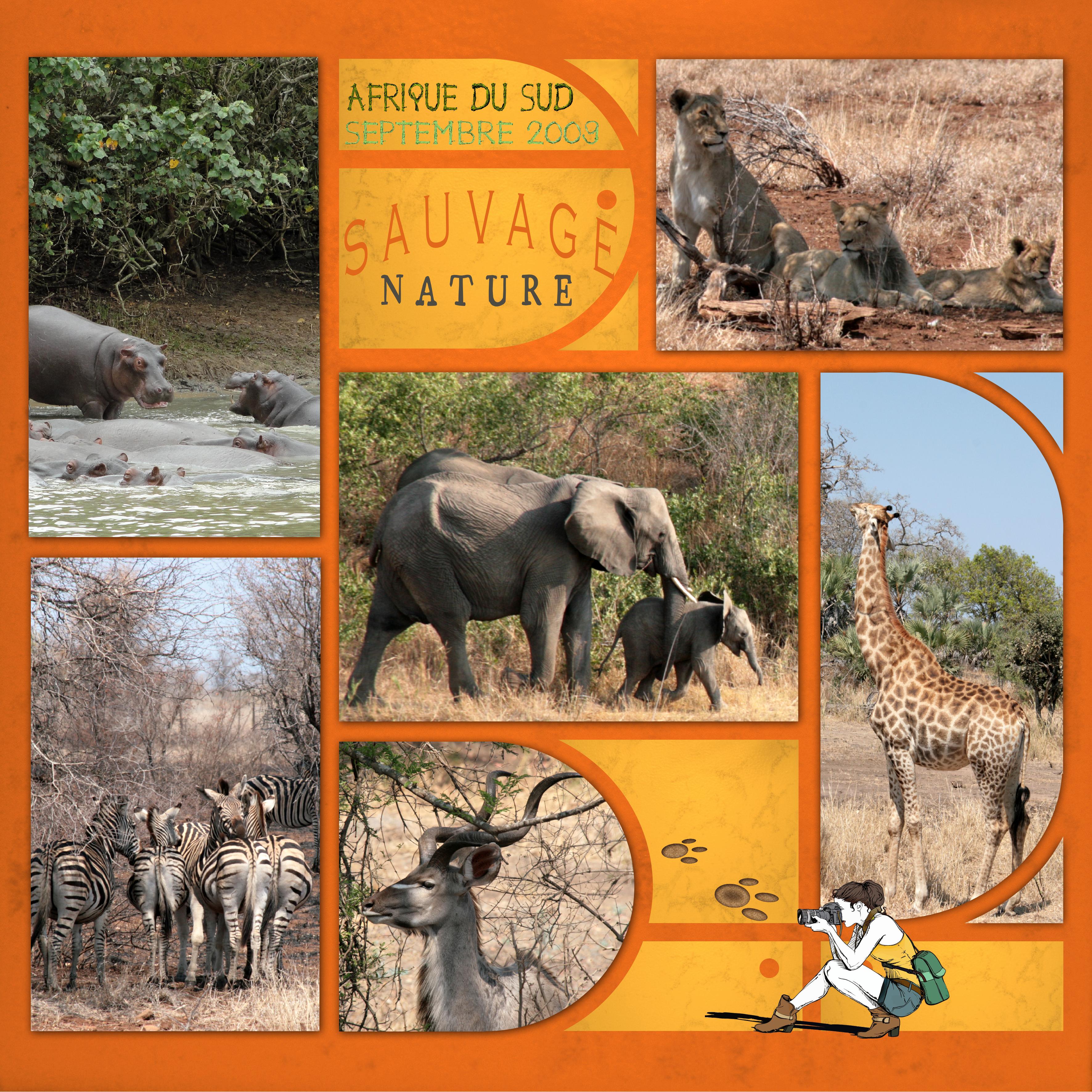 16 10 2021 Animal sauvage 1 (page 2).jpg