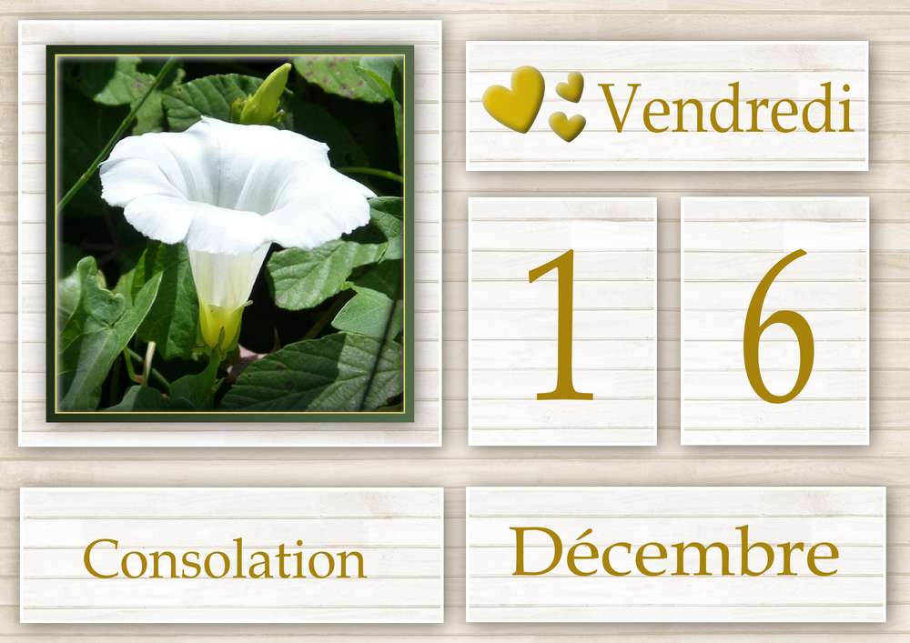 16-CALENDRIER DE L'AVENT - 16 DECEMBRE