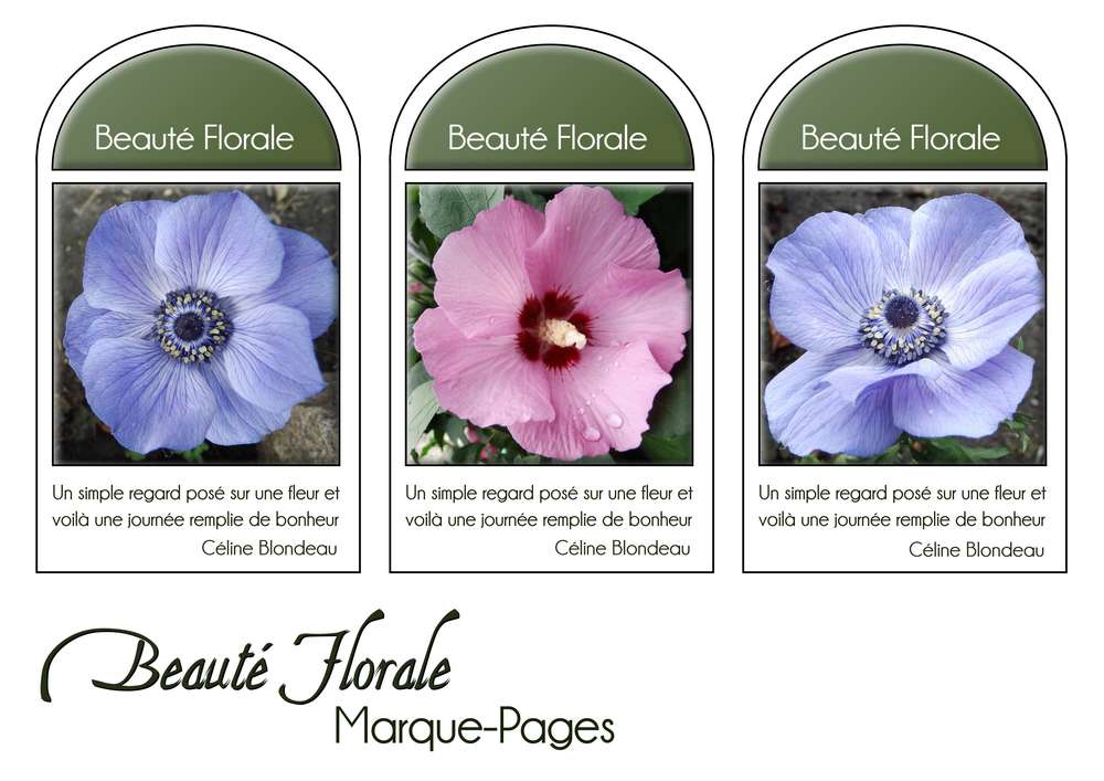 16-MARQUE-PAGES - BEAUTE FLORALE