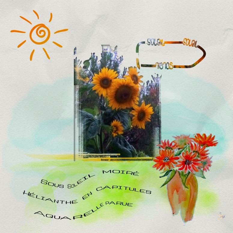 16 octobre soleil façon Haiku.jpg