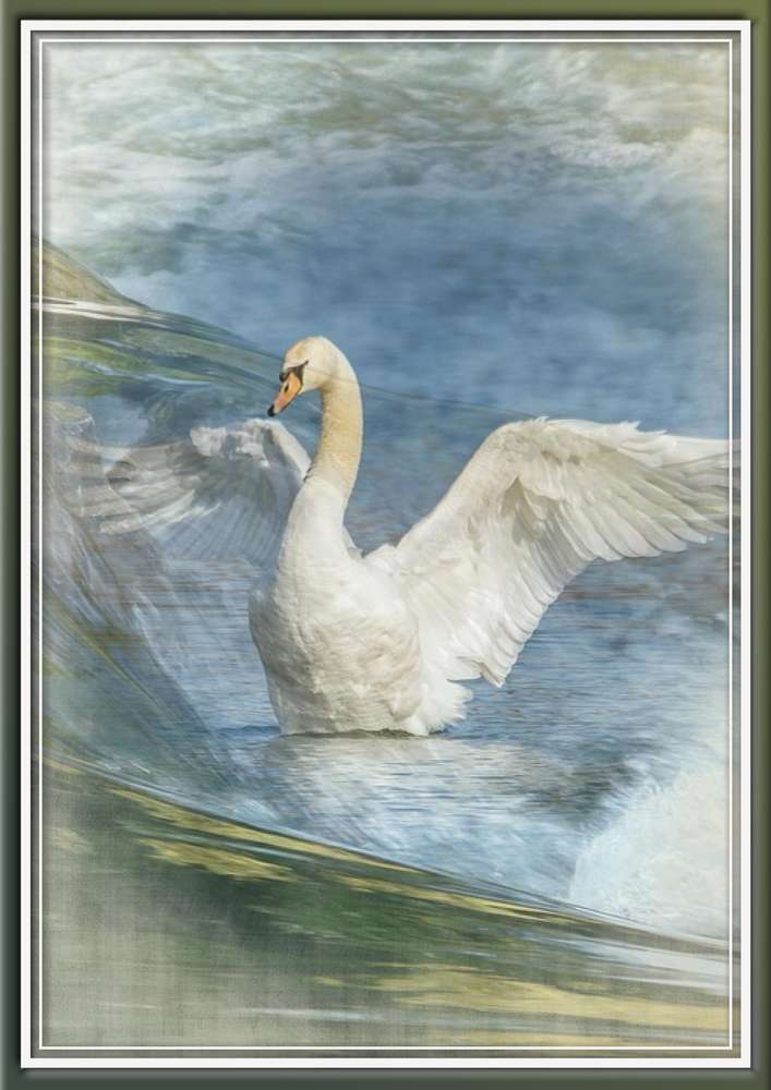 16-SAUVAGE - LE SCRAPTOBER : CHALLENGE DU MOIS D'OCTOBRE