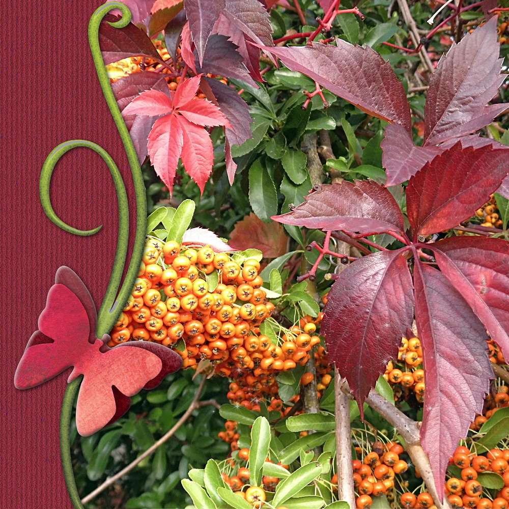 17-ARABESQUE - LE SCRAPTOBER : CHALLENGE DU MOIS D'OCTOBRE