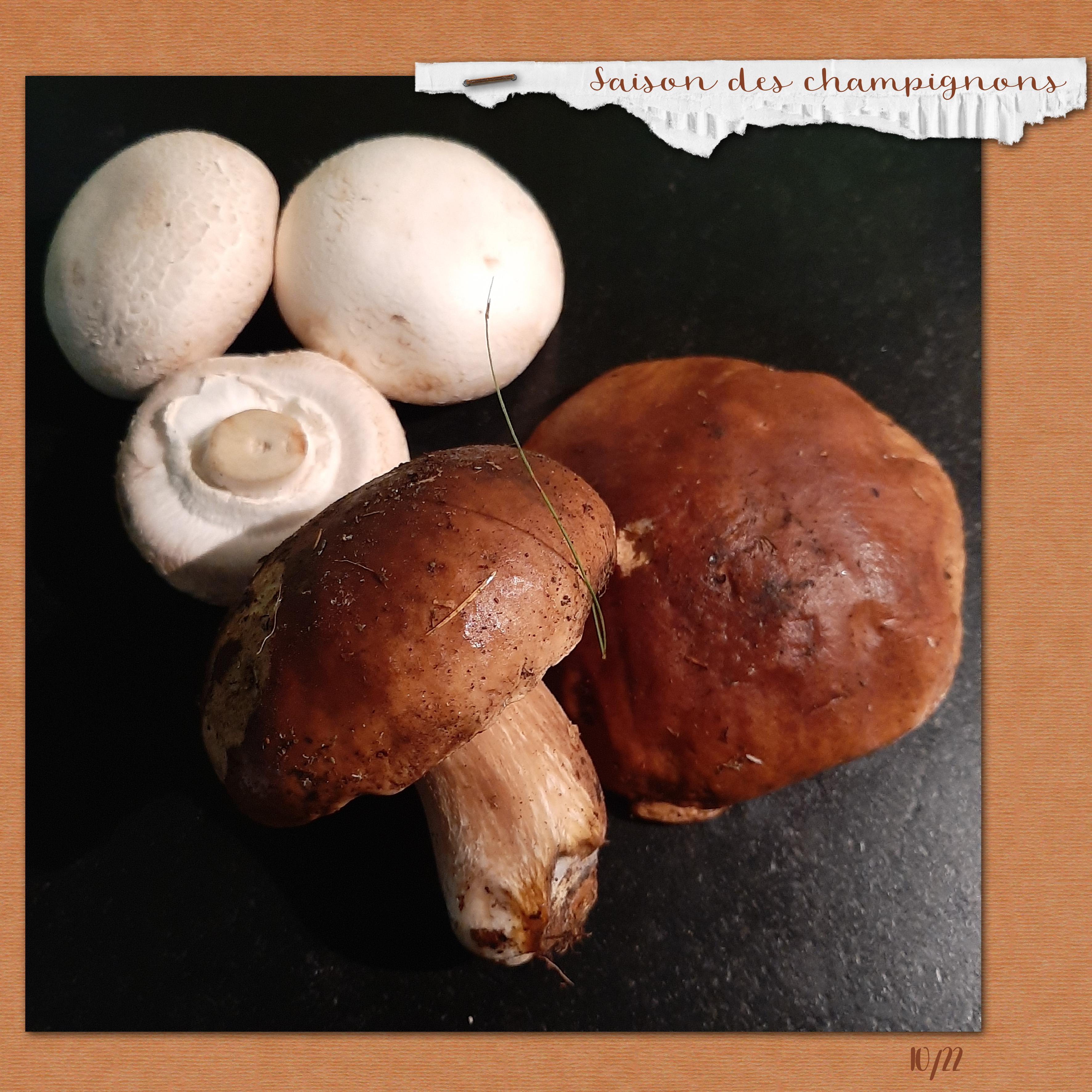 17- Scraptober - Cuisine.jpg