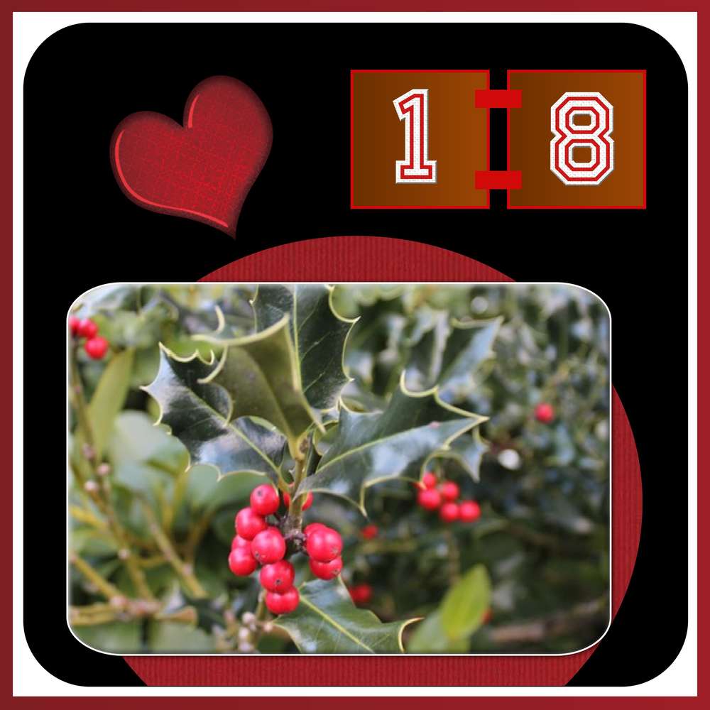 18-CALENDRIER DE L'AVENT - 18 DECEMBRE