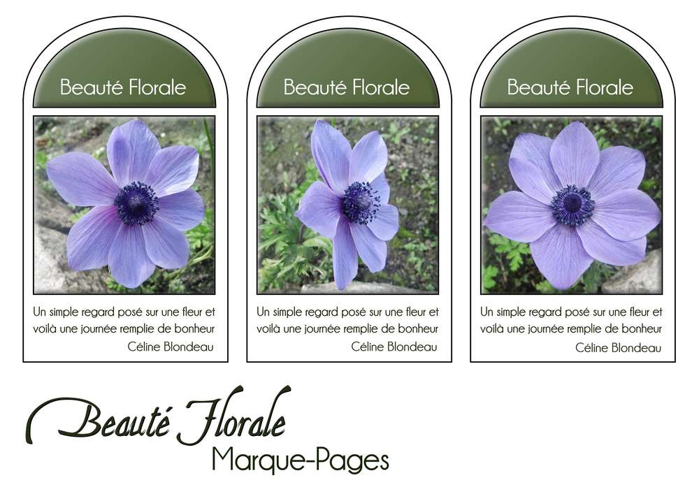 18-MARQUE-PAGES - BEAUTE FLORALE