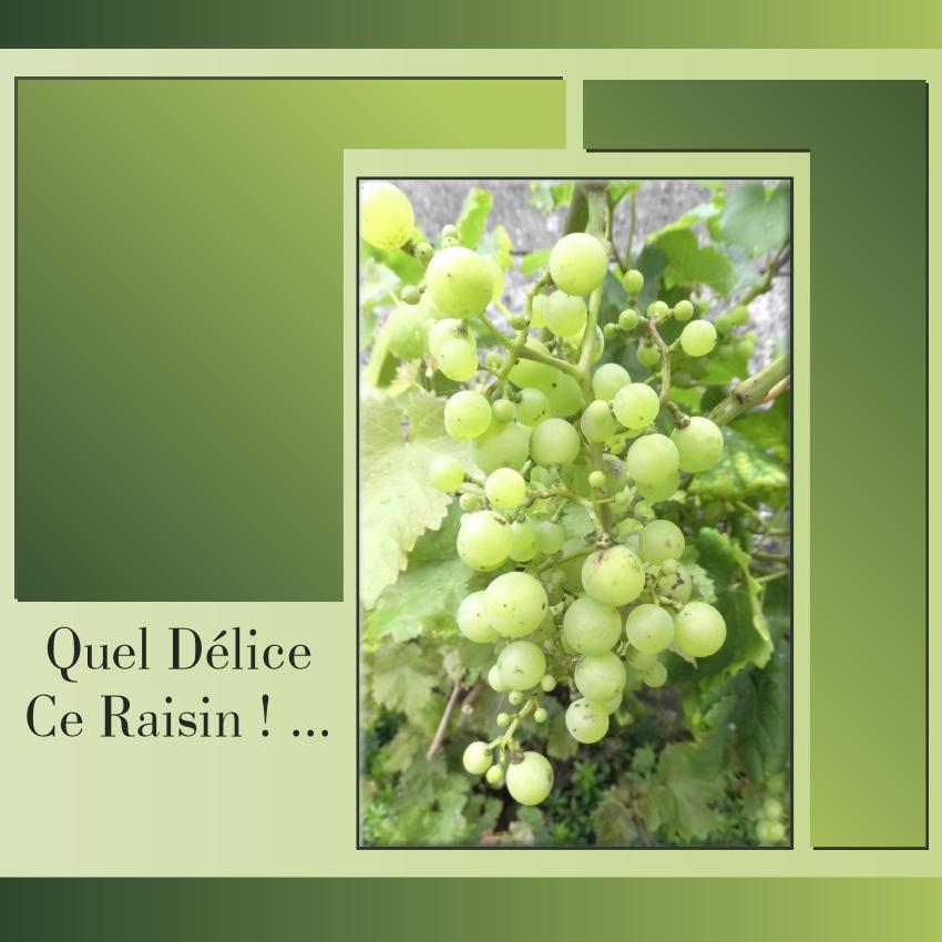 19-GOURMANDISE - LE SCRAPTOBER : CHALLENGE DU MOIS D'OCTOBRE