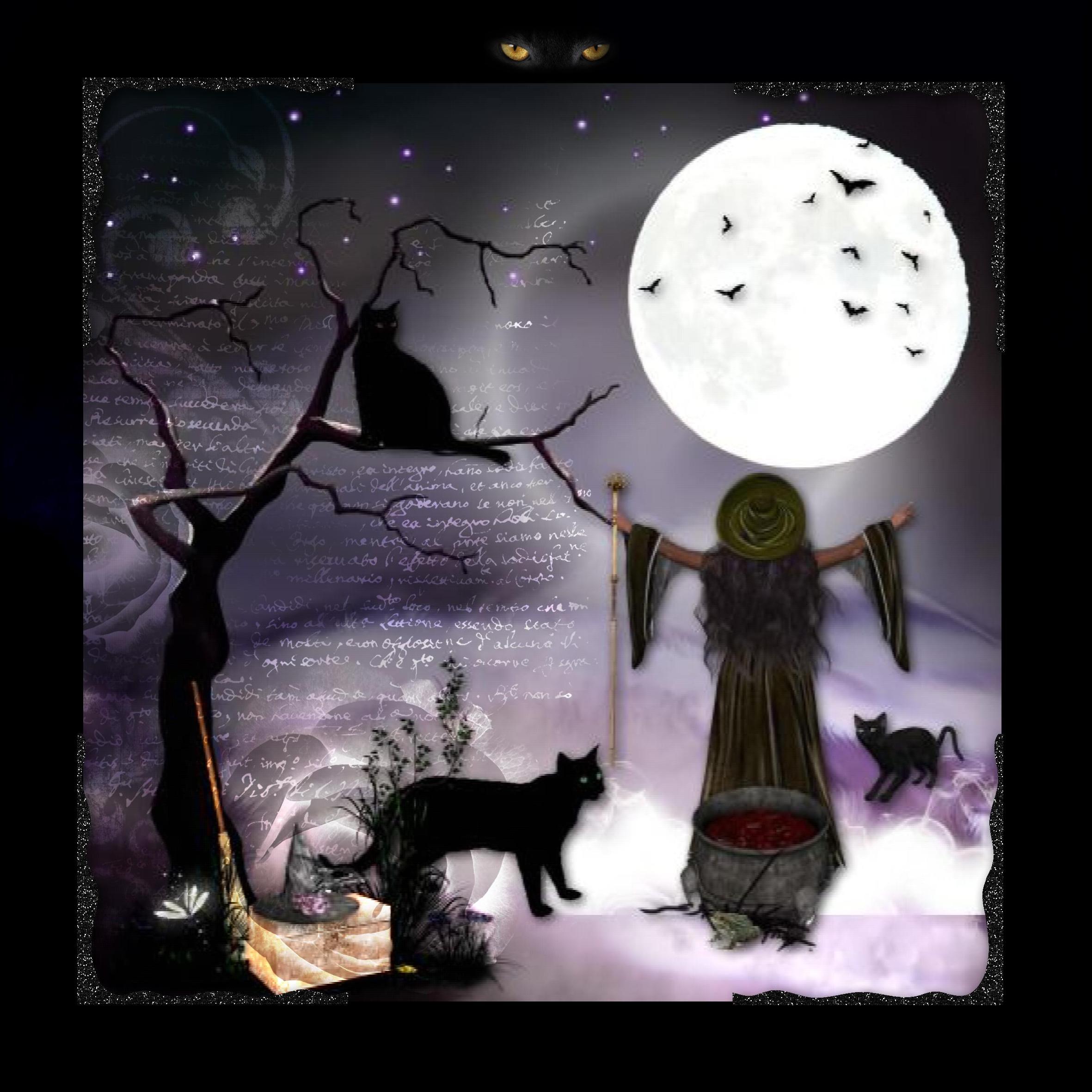 19 Les chats de la sorcière