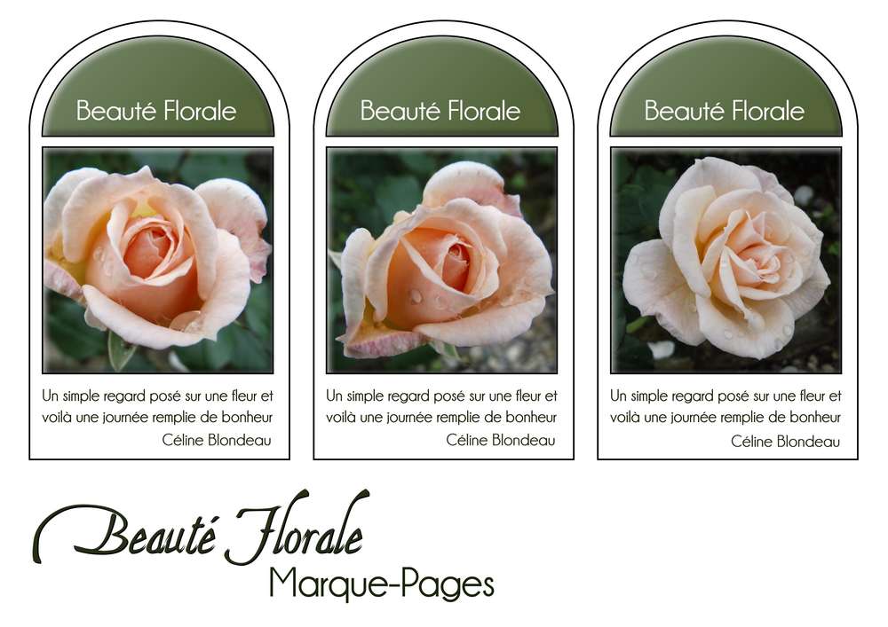 19-MARQUE-PAGES - BEAUTE FLORALE