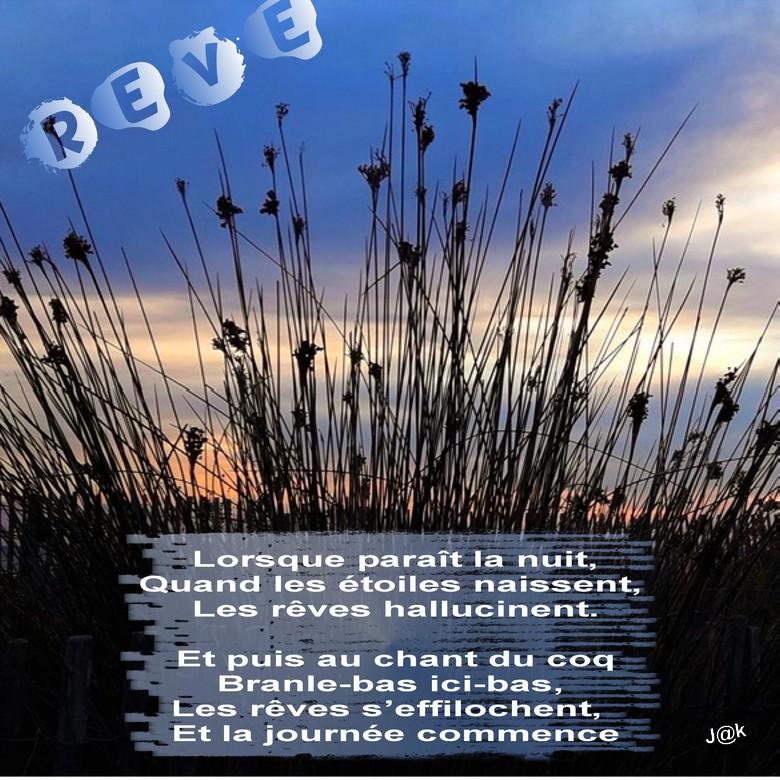 19 octobre rêve deux.jpg