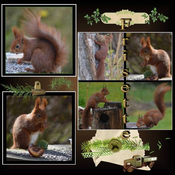 1957645_675630062497597_527775722_o