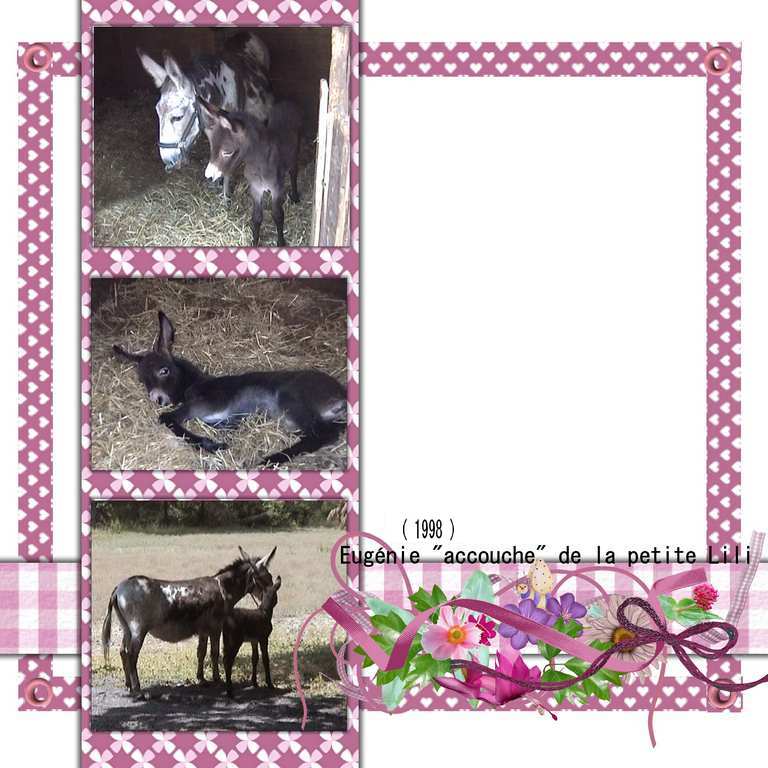 1998: Esel Lili est née !