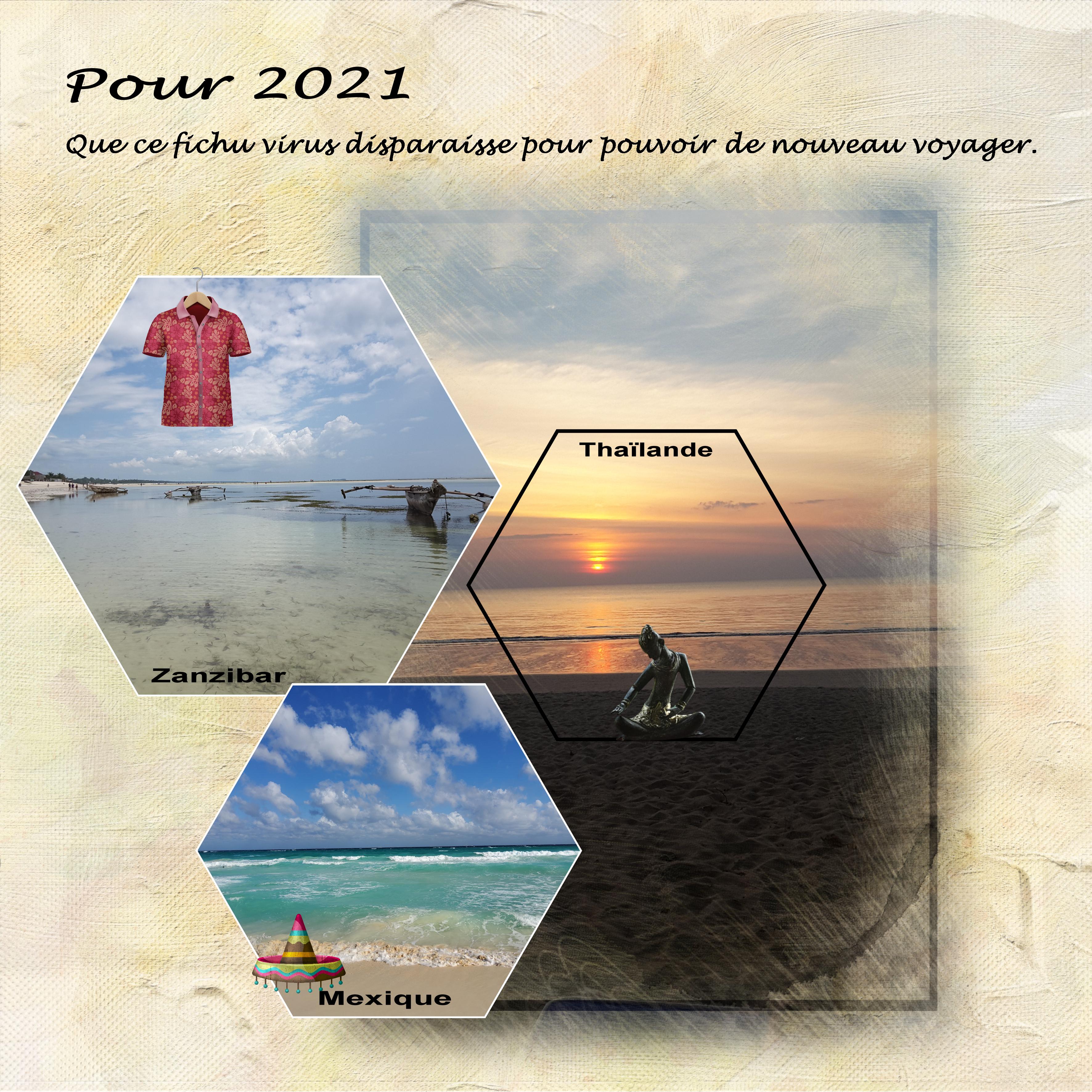 1er défi 2021 (page 3).jpg