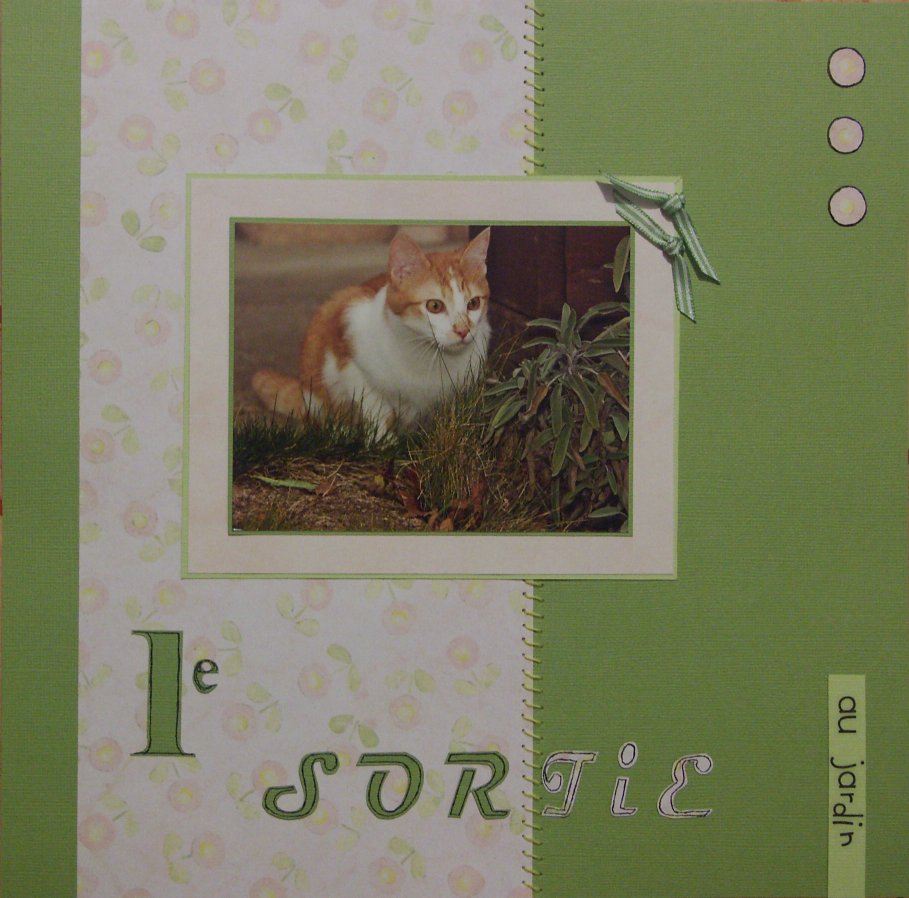 1ère sortie au jardin