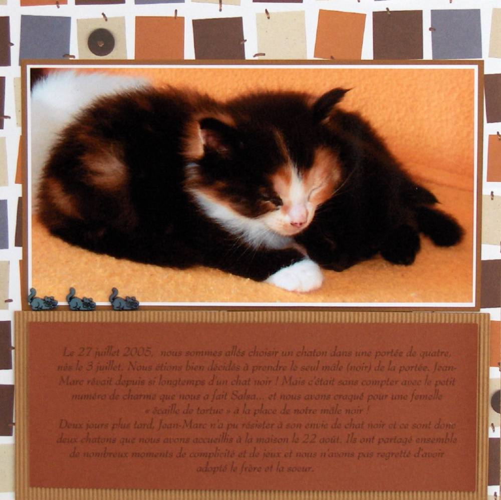 1ères photos (suite)