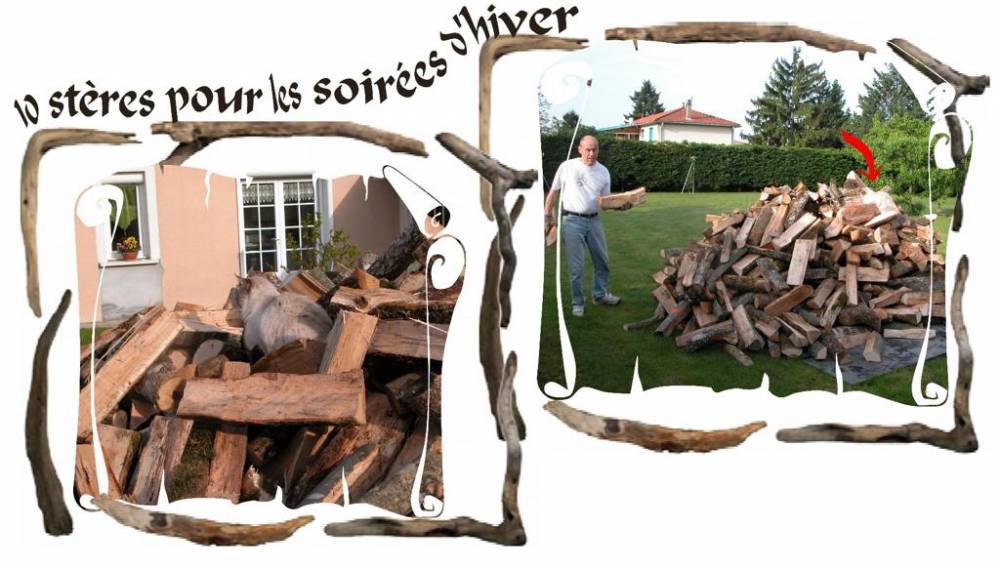 1O stères de bois