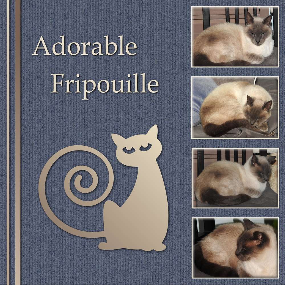 2-ADORABLE FRIPOUILLE