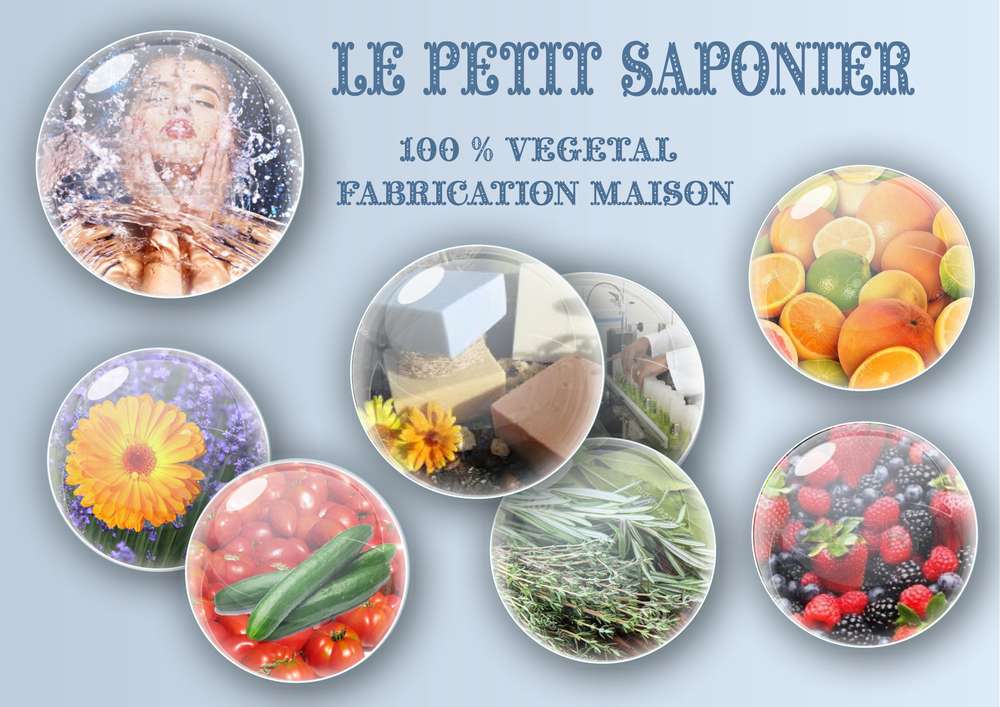 2-AFFICHE - LE PETIT SAPONIER