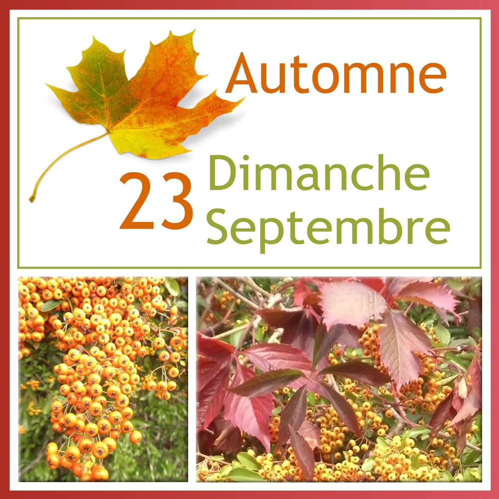 2-AUTOMNE