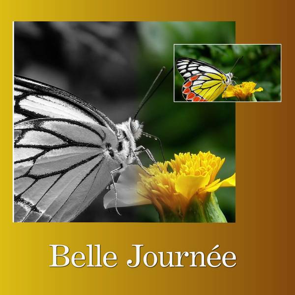 2-BELLE JOURNEE