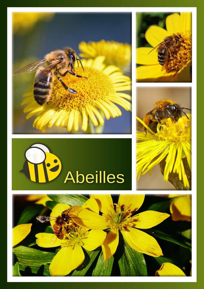 2-CHALLENGE PRINTEMPS - ABEILLE