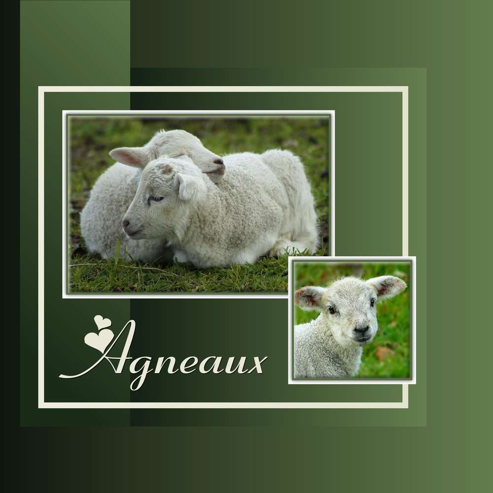 2-CHALLENGE PRINTEMPS - ANIMAUX